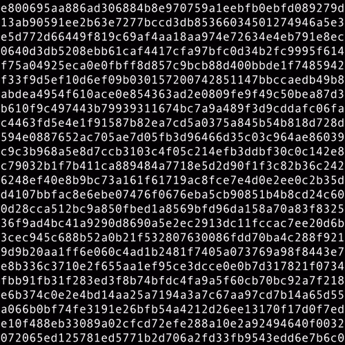 1111 #0319