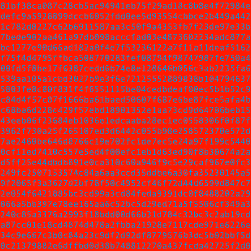 1111 #0216
