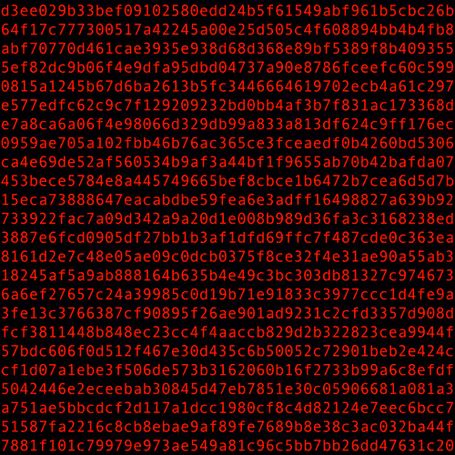 1111 #0294