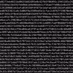 1111 #0893