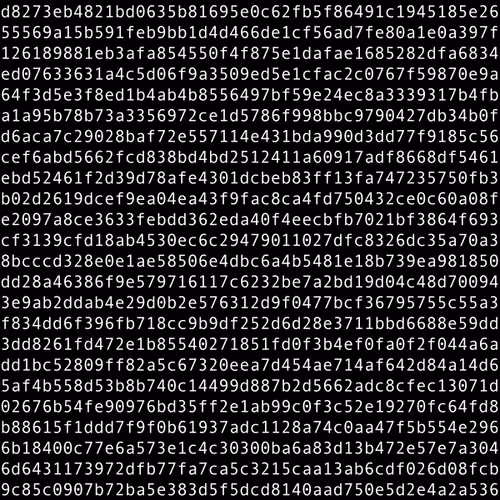 1111 #0893