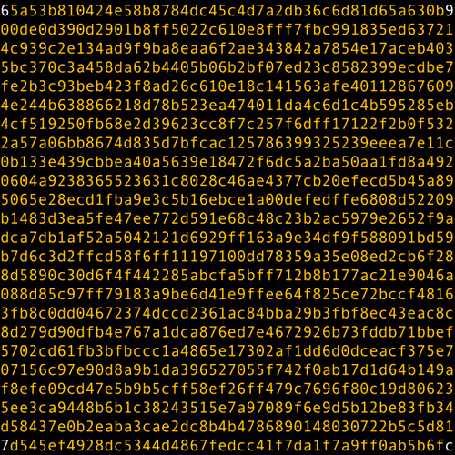 1111 #0010