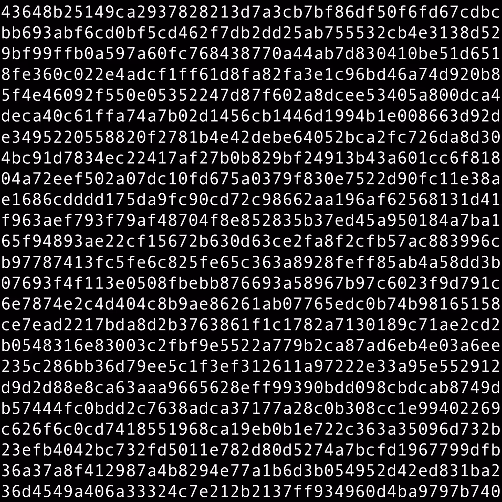 1111 #1081