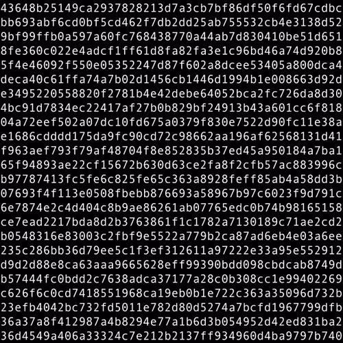 1111 #1081