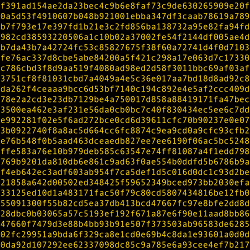 1111 #0051