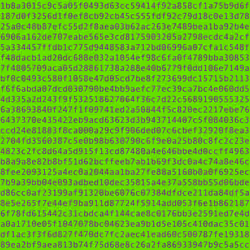 1111 #0079