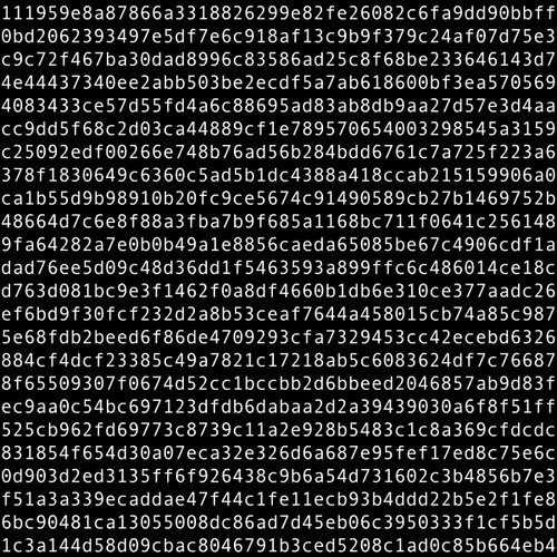 1111 #0404