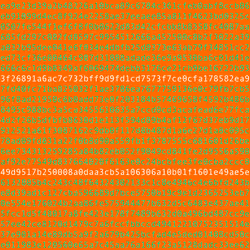 1111 #0237