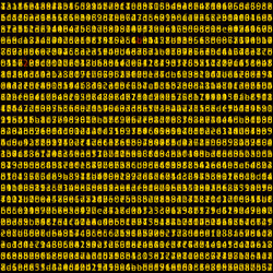 1111 #0119