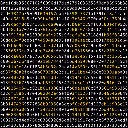 1111 #0229