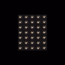 Checks - Ponzi Edition #1/250