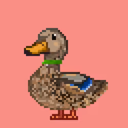 Mallard #734
