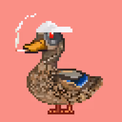 Mallard #8688