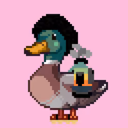 Mallard #4877