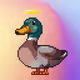 6443