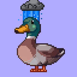 Mallard #1603