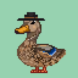 Mallard #9877