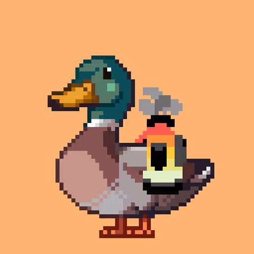 Just Mallards