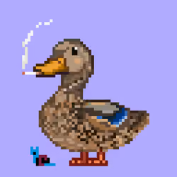 Mallard #4469