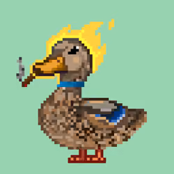 Mallard #4146