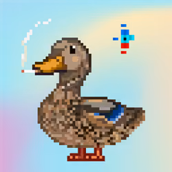 Mallard #9809