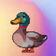 2597