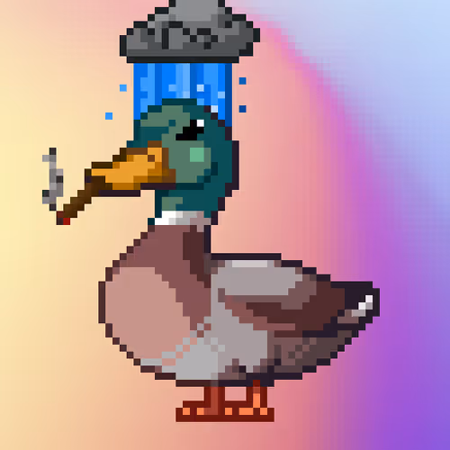 Mallard #6670