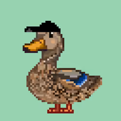 Mallard #1987