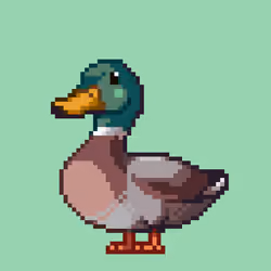 Mallard #712