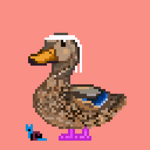 Mallard #2090