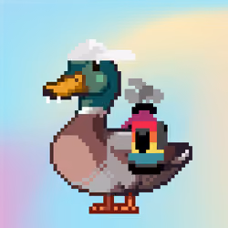 Mallard #9611
