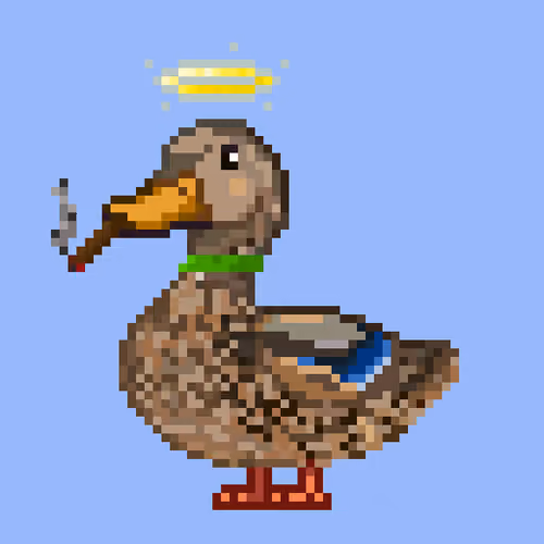Mallard #8655