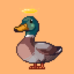 Mallard #4892