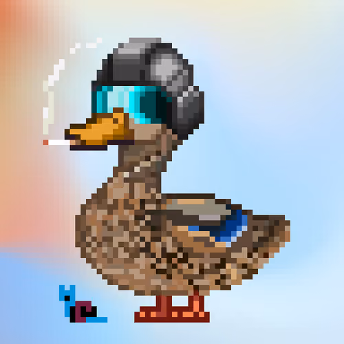 Mallard #8031