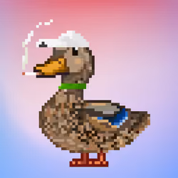 Mallard #2598