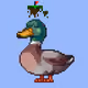 5072