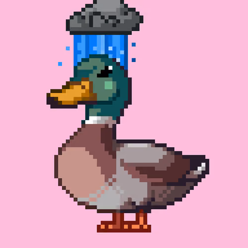 Mallard #9614