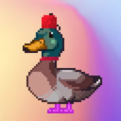 Mallard #6576
