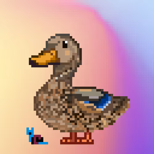 Mallard #5699