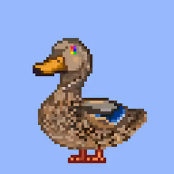 Mallard #5277