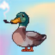 4431