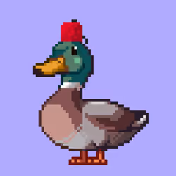 Mallard #4741