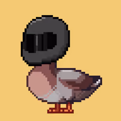 Mallard #557