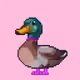 3815