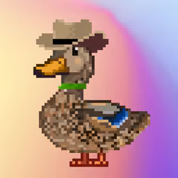 Mallard #9720
