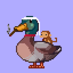 Mallard #9570