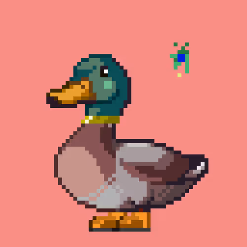 Just Mallards