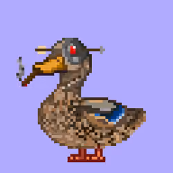 Mallard #4113