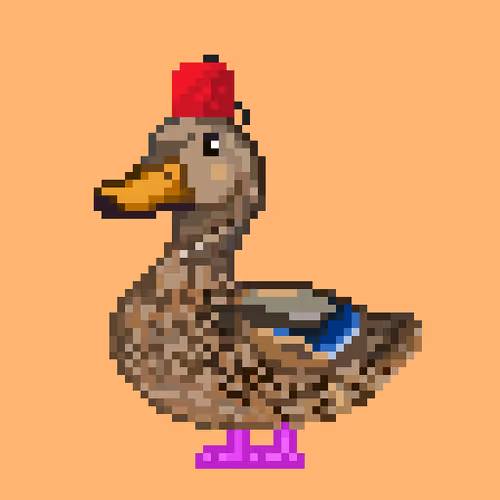 Just Mallards