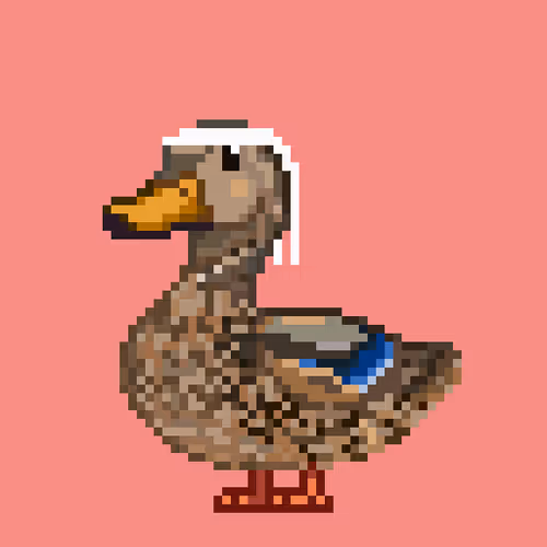 Just Mallards
